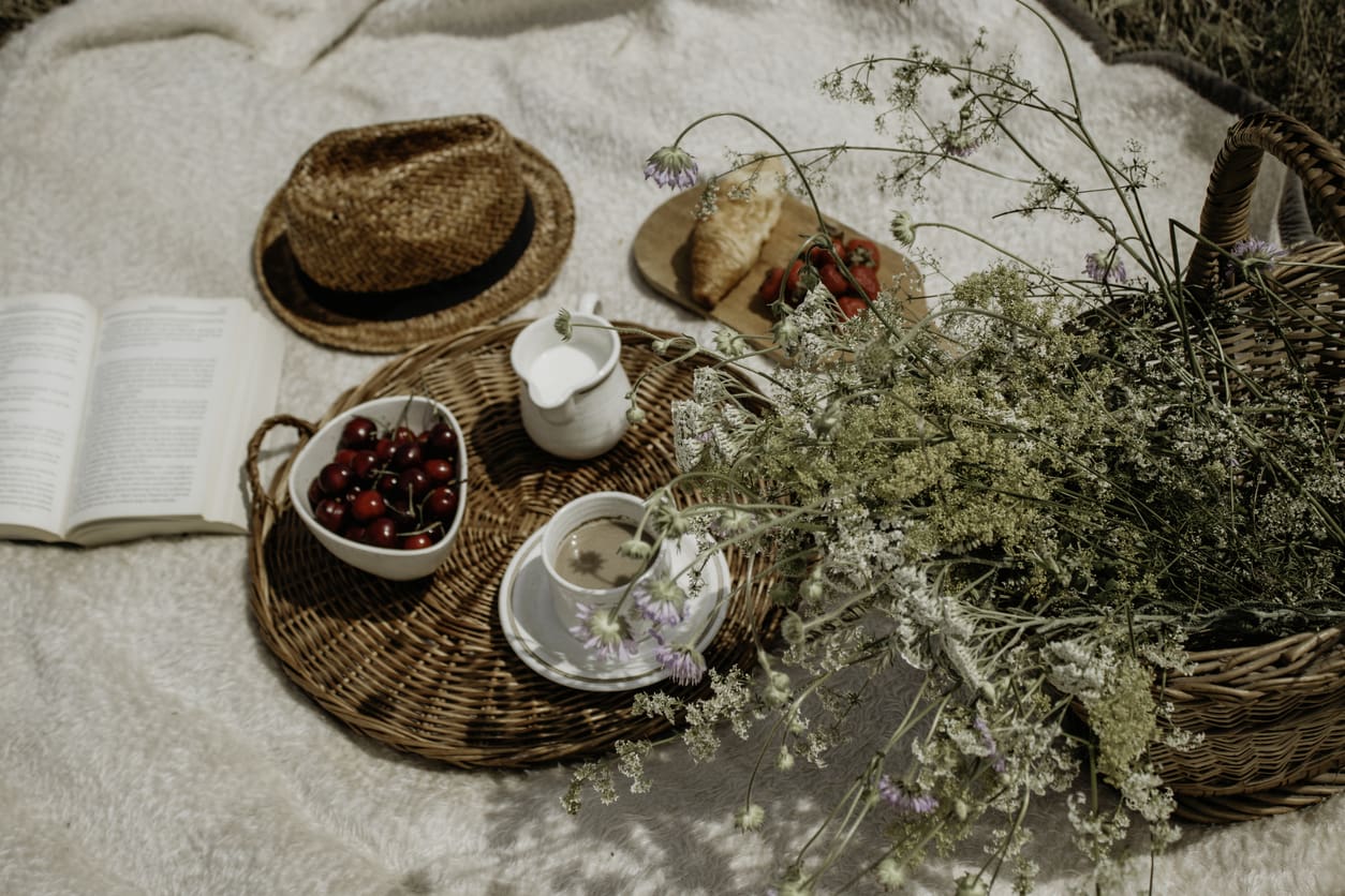 Picnic arranged in beautiful nature.
