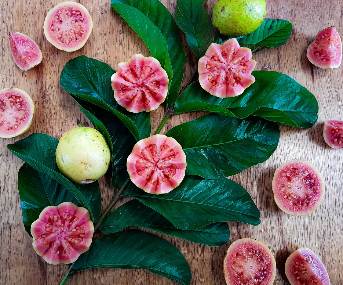 pink guava fruit