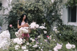 garden therapy, roses, gardening