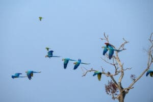 Nicaragua vacations