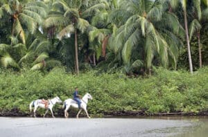 Belize resorts